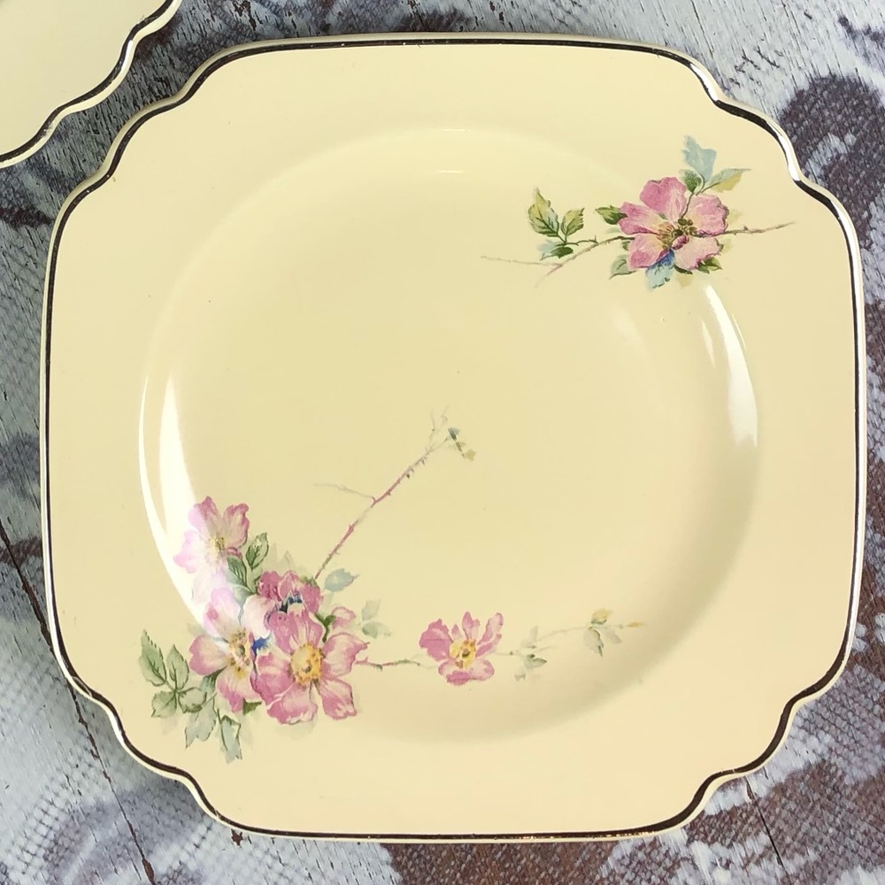 2 Vintage 30s Art Deco Homer Laughlin Century Briar Rose bread & Butter Plates